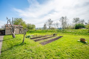 Garden- click for photo gallery